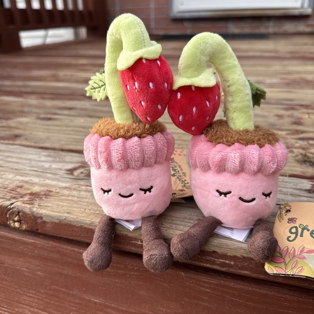 2 Greenhouse By Russ 6" Strawberry Plants "Kaitlyn"  Brand New With Tags